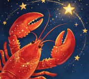 StarryOS Agent 龙虾浅尝成功